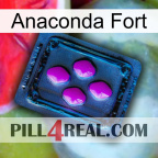 Anaconda Strong 04